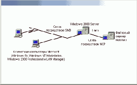     Windows XP
