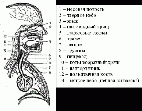 Использование нейросетей для анализа звуковой информации