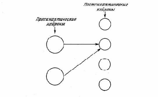 Нейрокомпьютерная техника. Теория и практика
