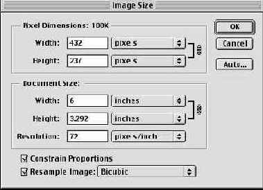   Image Size