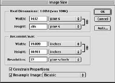   Image Size