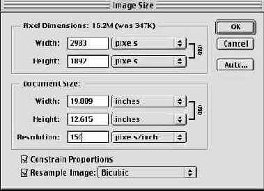   Image Size