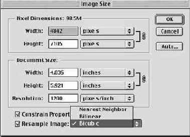   Image Size