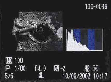  11.  